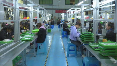 訂單式生產(chǎn)與電商運營雙輪驅(qū)動，安龍電子產(chǎn)品產(chǎn)業(yè)前景廣闊